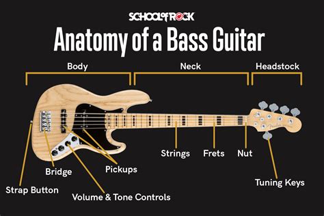 What is a Bass in Music and Why Does It Sound Like a Giant's Footsteps?