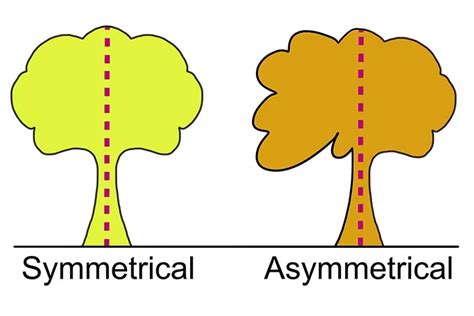 what is asymmetry in art and how does it reflect the human psyche?